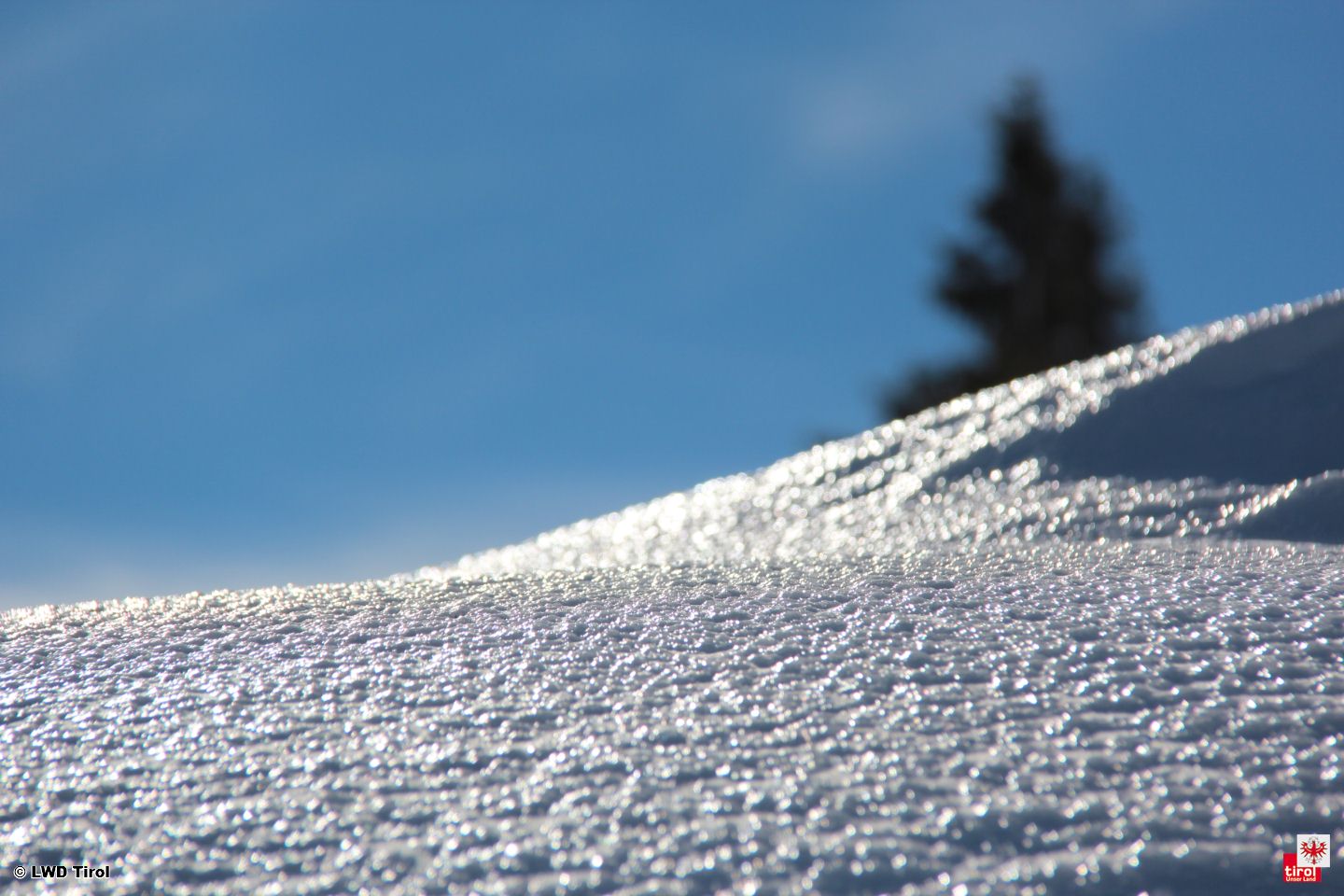 Eine außergewöhnliche Eiskruste und deren Auswirkung auf die Lawinengefahr