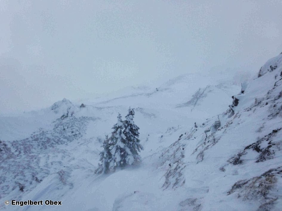 Umfangreiche Verfrachtungen samt störanfälligem Triebschnee oberhalb der Waldgrenze; Lawinenauslösungen durch Wintersportler