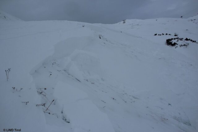 Auch wenn noch das Gras aus der Schneedecke ragt, kann es bereits brandgefährlich sein. Anriss einer spontanen Schneebrettlawine im Arlberggebiet (Foto: 01.12.2021) Auch wenn noch das Gras aus der Schneedecke ragt, kann es bereits brandgefährlich sein. Anriss einer spontanen Schneebrettlawine im Arlberggebiet (Foto: 01.12.2021)