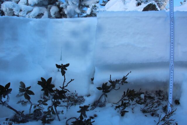 Profil an einem schneearmen Bereich orographisch links des Lawinenanrisses. Ein "Krusten-Sandwich" mit dazwischen liegenden, lockeren Schichten. Darüber ein mitunter vom Wind geprägtes Schneepaket. (Foto: 12.12.2021) Profil an einem schneearmen Bereich orographisch links des Lawinenanrisses. Ein "Krusten-Sandwich" mit dazwischen liegenden, lockeren Schichten. Darüber ein mitunter vom Wind geprägtes Schneepaket. (Foto: 12.12.2021)