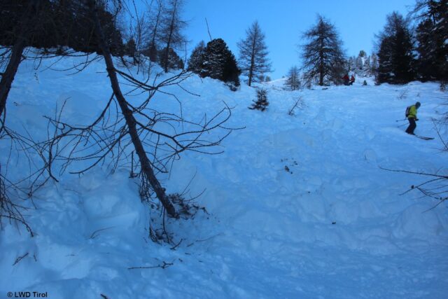 Bei der kleinen Lärche wurde der getötete Jugendliche aufgefunden (Foto: 12.12.2021) Bei der kleinen Lärche wurde der getötete Jugendliche aufgefunden (Foto: 12.12.2021)