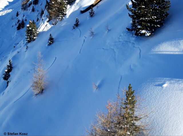 Rissbildungen und Setzungsgeräusche im Nahbereich des Hochzeiger-Skigebietes (Foto: 12.12.2021)
