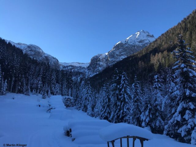 Bezeichnend für die vergangene Woche war eine deutliche Temperaturinversion: Im Tal war es kälter als auf den Bergen. Hier am Karnischen Kamm bildete sich große Oberflächenreifkristalle. (Foto: 14.01.2022)