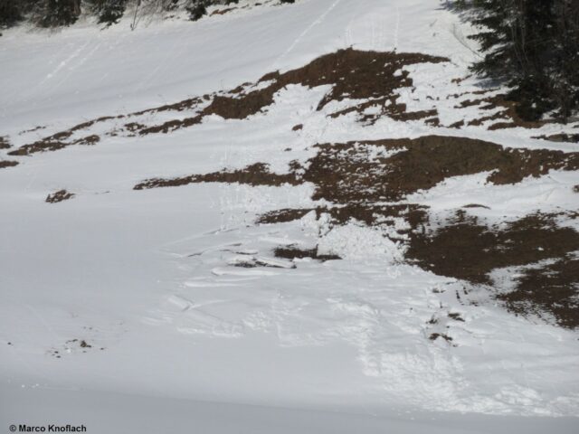 In den neuschneereichen Regionen wird man auf Grashängen wieder vermehrt Gleitschneelawinen und -rutsche beobachten können. Gschnitztal (03.02.2022)