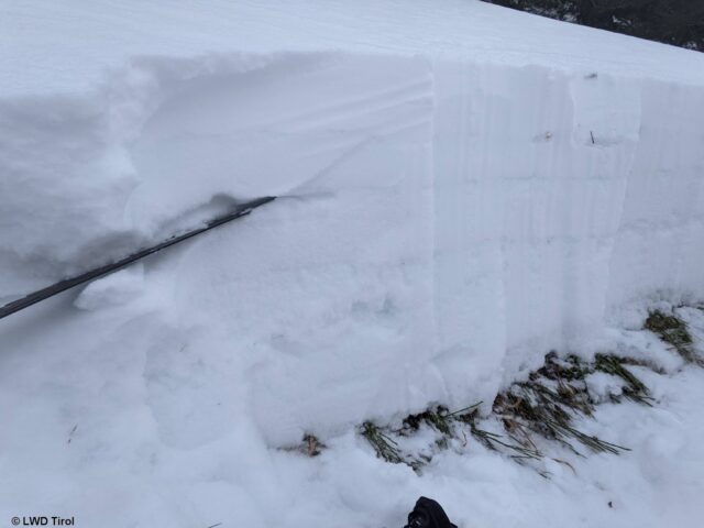 Die für den Lawinenabgang bedeutsame Schwachschicht liegt bei der in etwa horizontal ausgerichteten Schneesäge. Rechts davon erkennt man gut die Kruste. Eine weitere Kruste befindet sich darunter. (Foto: 05.02.2022) Die für den Lawinenabgang bedeutsame Schwachschicht liegt bei der in etwa horizontal ausgerichteten Schneesäge. Rechts davon erkennt man gut die Kruste. Eine weitere Kruste befindet sich darunter. (Foto: 05.02.2022)