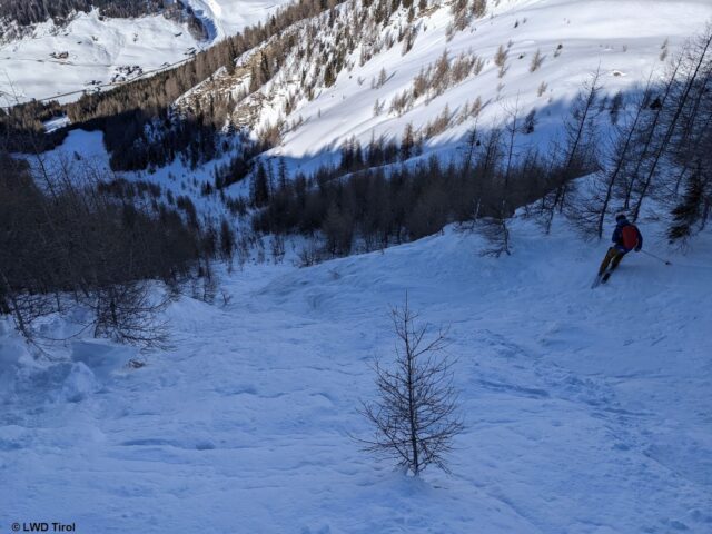 Lawinensturzbahn (Foto: 05.02.2022) Lawinensturzbahn (Foto: 05.02.2022)
