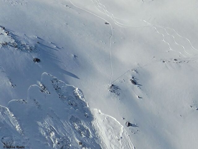 Die Skispur deutet darauf hin, dass sich die Lawine löste, als die Person in deren Nahbereich war. Nördliche Stubaier Alpen (Foto: 14.02.2022) Die Skispur deutet darauf hin, dass sich die Lawine löste, als die Person in deren Nahbereich war. Nördliche Stubaier Alpen (Foto: 14.02.2022)