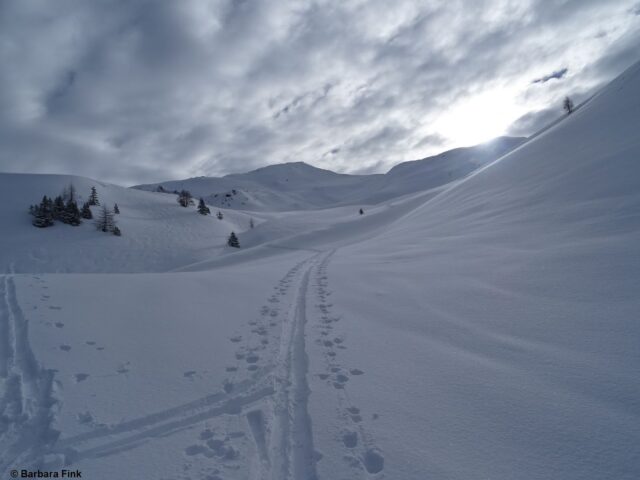 Neuschnee vom 15.02. am Weg zur Vennspitze in den Nördlichen Zillertaler Alpen (Foto: 16.02.2022) Neuschnee vom 15.02. am Weg zur Vennspitze in den Nördlichen Zillertaler Alpen (Foto: 16.02.2022)