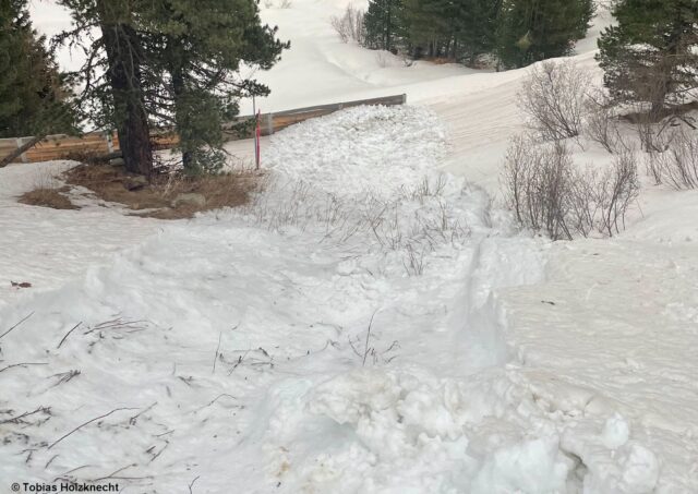 Nasse Lockerschneelawine aus extrem steilem, lichten, schattigen Waldbereich. Ötztal (Foto: 16.03.2022) Nasse Lockerschneelawine aus extrem steilem, lichten, schattigen Waldbereich. Ötztal (Foto: 16.03.2022)