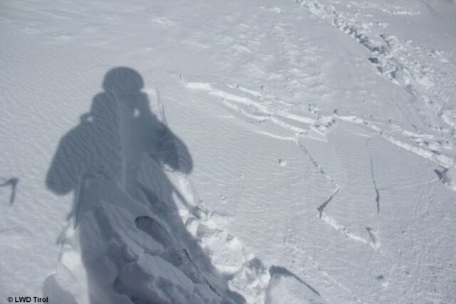 Kleinräumig konnten Triebschneepakete auf Graupel gestört werden. Stubaier Gletscher. (Foto: 07.04.2022) Kleinräumig konnten Triebschneepakete auf Graupel gestört werden. Stubaier Gletscher. (Foto: 07.04.2022)