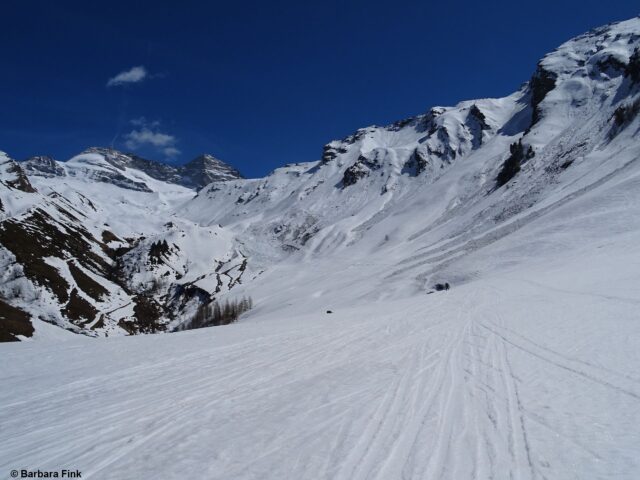 Ebenso nordseitig zwischen etwa 2300m und 2500m vermehrte spontane Lawinenabgänge. Wildlahnertal. Nördliche Zillertaler Alpen ( Foto: 18.04.2022) Ebenso nordseitig zwischen etwa 2300m und 2500m vermehrte spontane Lawinenabgänge. Wildlahnertal. Nördliche Zillertaler Alpen ( Foto: 18.04.2022)