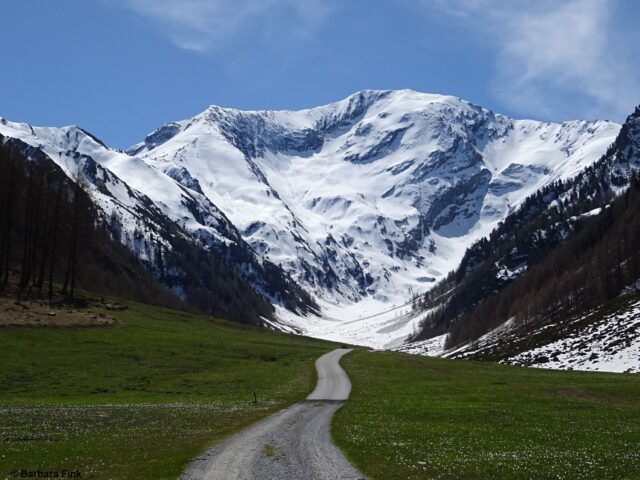 Unten Frühjahr, oben Frühjahrsverhältnisse, Kleiner Kaserer in den Nördlichen Zillertaler Alpen (Foto: 29.04.2022)