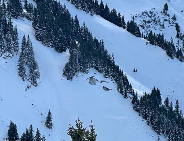 Im Außerfern konnten aufgrund der Durchfeuchtung der Schneedecke bis etwa 2000m hinauf zahlreiche Gleitschneerutsche beobachtet werden. (Foto: 27.11.2022)