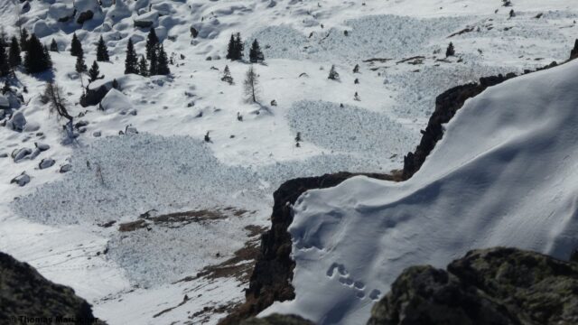 Nasse Lockerschnee- und Gleitschneelawinen aus besonntem Gelände. Südliches Osttirol (Foto: 01.01.2023)