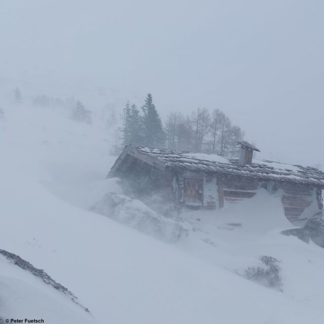 Sturm oberhalb der Waldgrenze. Venedigergruppe (Foto: 10.01.2023)