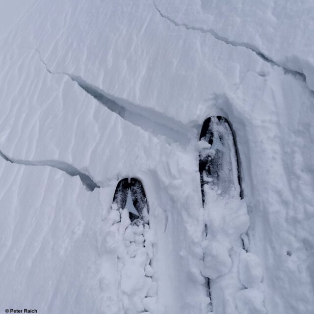 Risse in der Schneedecke können auf ein mögliches Triebschneeproblem hinweisen. Geigenkamm. (Foto: 16.01.2023) Risse in der Schneedecke können auf ein mögliches Triebschneeproblem hinweisen. Geigenkamm. (Foto: 16.01.2023)