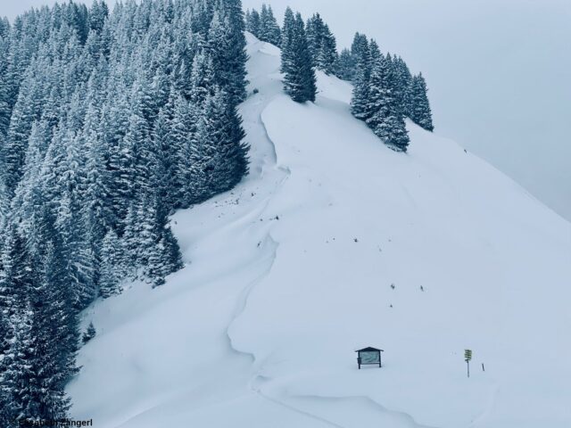 Windeinfluss im Waldgrenzbereich. Hahnenkamm bei Reutte (Foto: 21.01.2023)