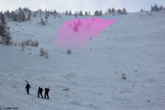 Ab kommender Woche wird die Lawinengefahr rasch ansteigen. Lawinenunfälle werden dadurch wahrscheinlicher. Hier im Bild ein Lawinenabgang unterhalb des Padauner Bergs in den Nördlichen Zillertaler Alpen in einem Schattenhang im Waldgrenzbereich vom 22.01.2023 (Foto: 24.01.2023)