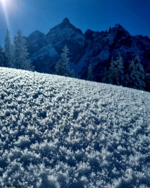 Oberflächenreif am Gleinser Berg am Serleskamm. Foto: 30.01.2023