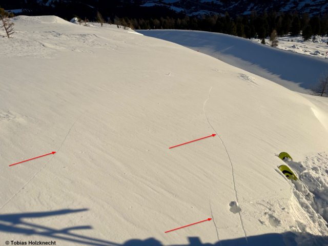 Rissbildungen beim Einfahren in frischen Triebschnee. Aufgrund der geringen Hangneigung ging das Schneebrett nicht ab. Weißkugelgruppe (Foto: 31.01.2023)