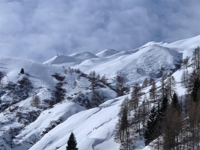 Lawinenabgang im Villgratental am Weg zum Gaishörndl (Foto: 03.02.2023)