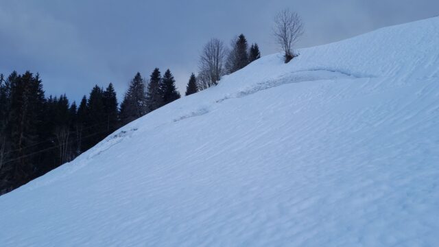 Durch Regeneinfluss vermehrtes Gleiten auf steilen Wiesenhängen (Foto: Franz Josef 04.02.2023)