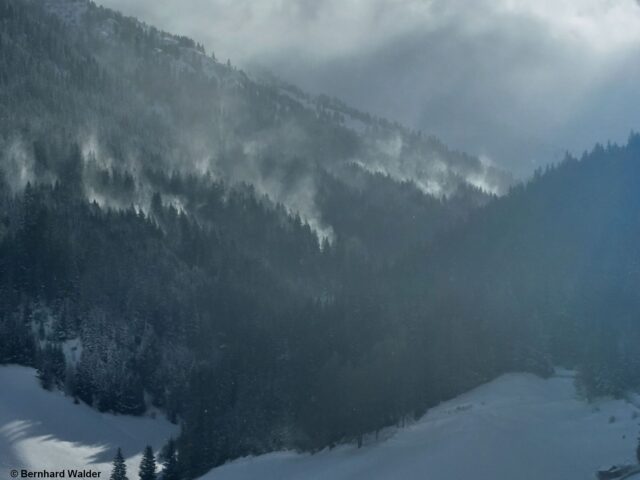 Der Wind griff auch in den Waldbereich über. Frade (Foto: 04.02.2023)