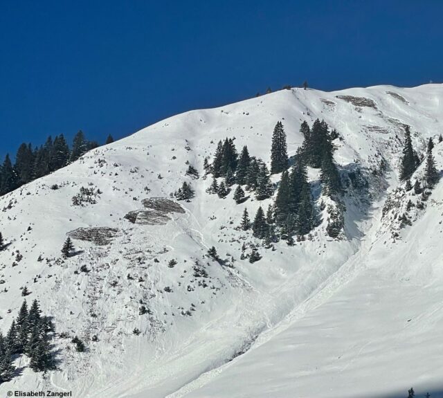 Auf steilen Wiesenhängen: Potential von kleinen und mittelgroßen Gleitschneelawinen. Kelmen (Foto: Elisabeth Zangerl, am 07.02.2023)