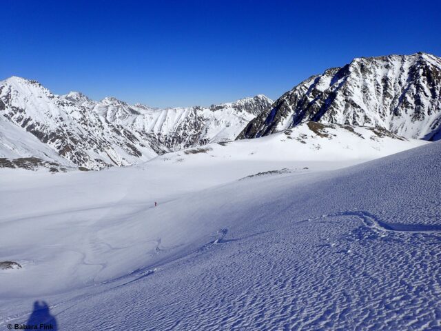 Im Noppenpulver lassen sich schöne Schwünge ziehen (Foto: 12.02.2023)
