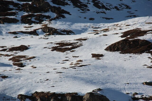 Tragfähige Schmelzkruste im besonnten Gelände in den Alpeiner Bergen (Foto: 16.02.2023) Tragfähige Schmelzkruste im besonnten Gelände in den Alpeiner Bergen (Foto: 16.02.2023)