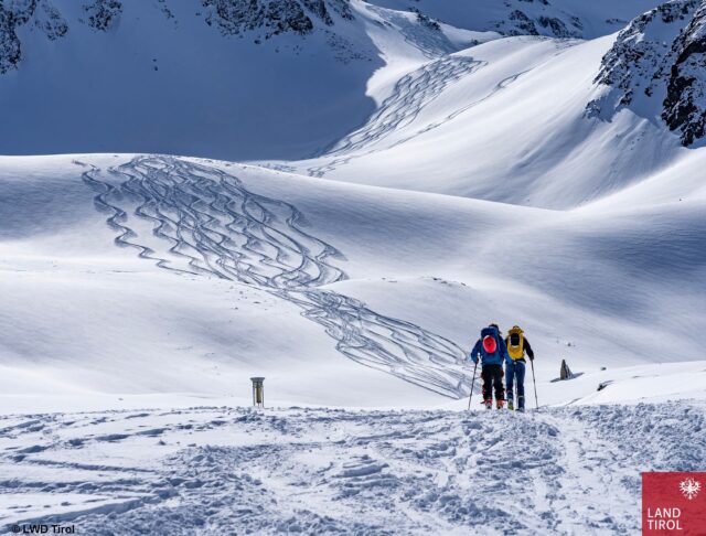 Pulverschnee in weiten Teilen Tirols. Dieser wird durch (diffusen) Strahlungseinfluss von Tag zu Tag rarer. (Foto: 15.03.2023, (c) Lukas Ruetz)