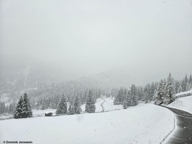 Winterlich im Serleskamm auf ca. 1600m (Foto: 11.05.2023)
