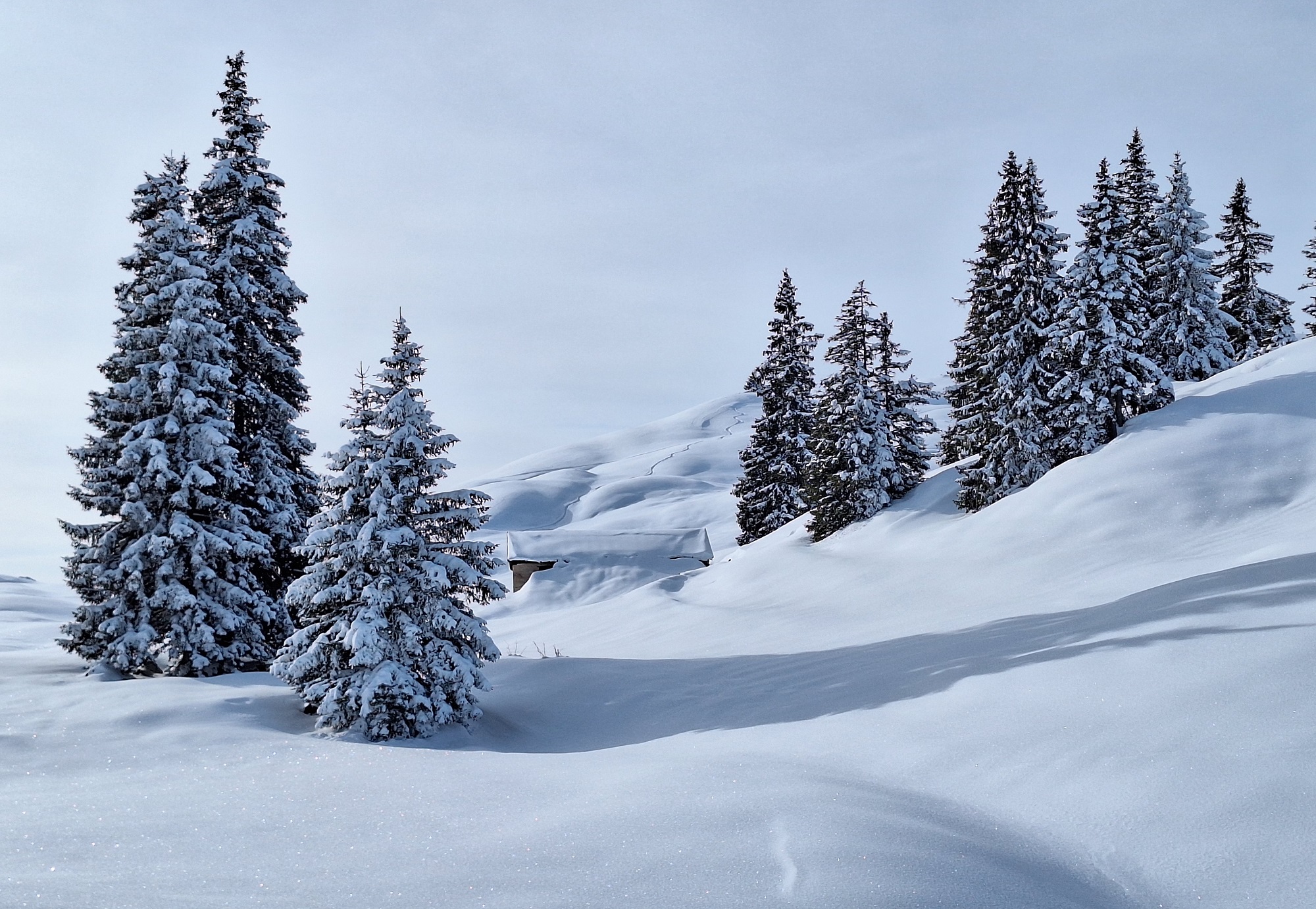 Gut erkennbare, störanfällige Triebschneeansammlungen – ansonsten oft gute Tourenbedingungen