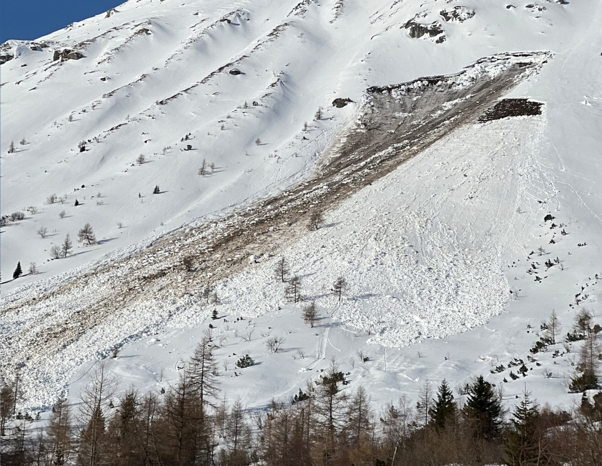 Mit Wärmeeintrag in die Schneedecke nahm auch die Gleitschneeaktivität in der vergangenen Woche wieder deutlich zu. Hier exemplarisch ein Bild einer frischen Gleitschneelawine aus den Stubaier Alpen (Foto: 17.03.2024, ©Stephan Gander).