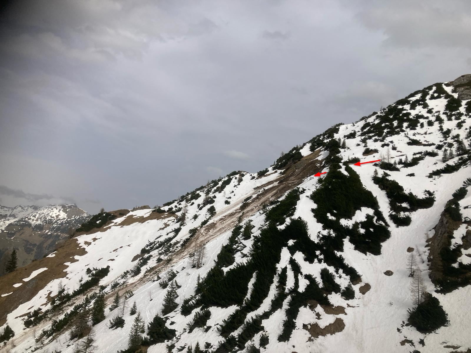 Die roten Pfeile zeigen den Verlauf des Sommerwegs, wo die Gruppe den Hang querte. (Foto: 09.04.2024; © Alpinpolizei)