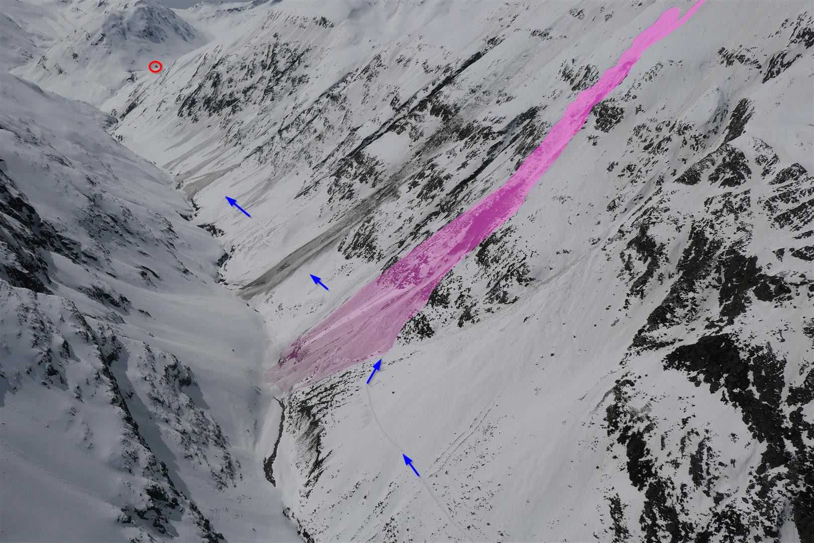 Eingefärbt ist die Unfalllawine. Die blauen Pfeile markieren die Aufstiegsroute zur Martin-Busch-Hütte (roter Kreis) durch das Niedertal. (Foto: 11.04.2024 © Alpinpolizei)