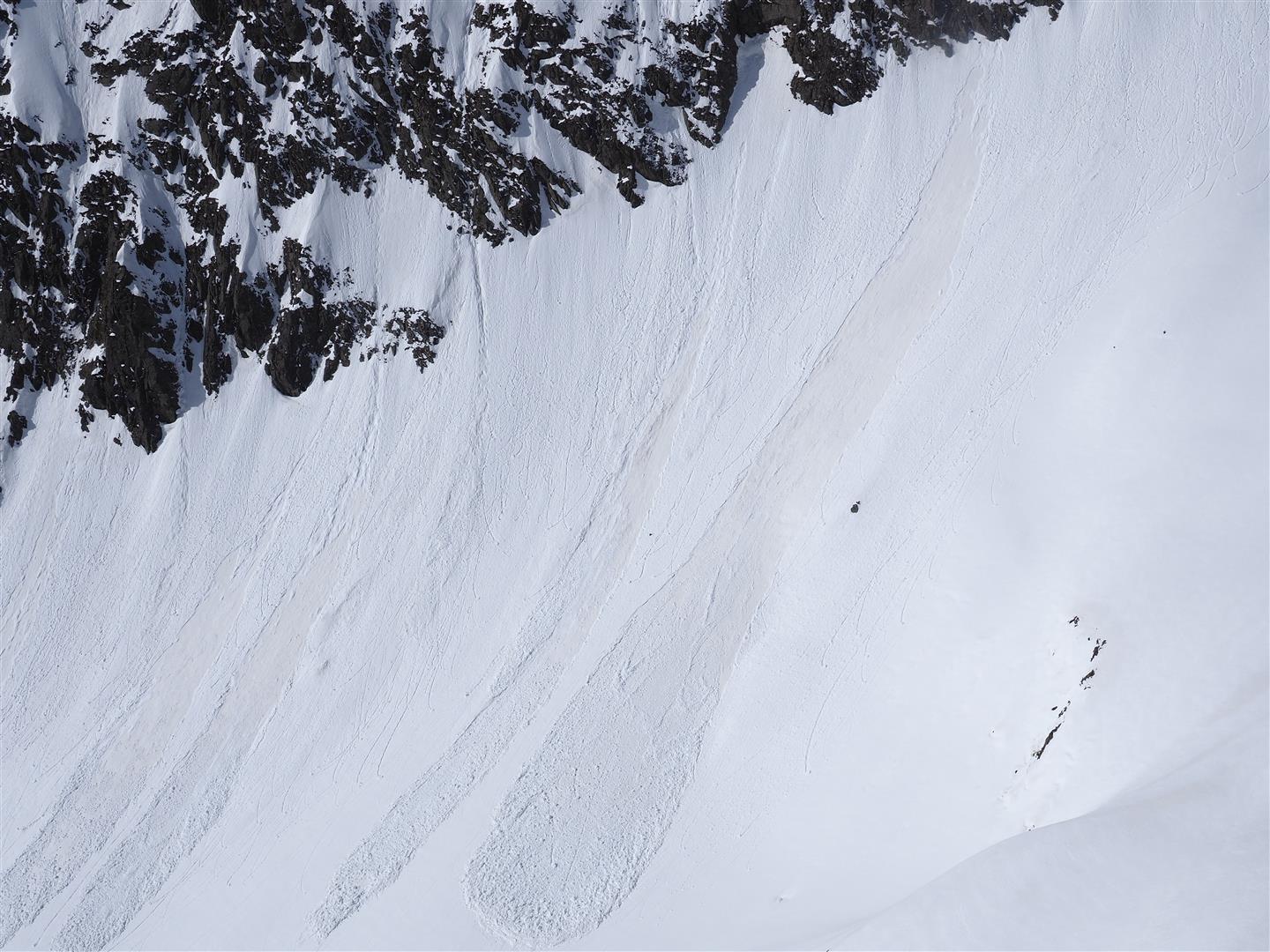 Ein typisches Bild: Lockerschneelawinen, die auf der kürzlich gebildeten Schmelzkruste abgingen. (Foto: 12.04.2024; © LWD Tirol)