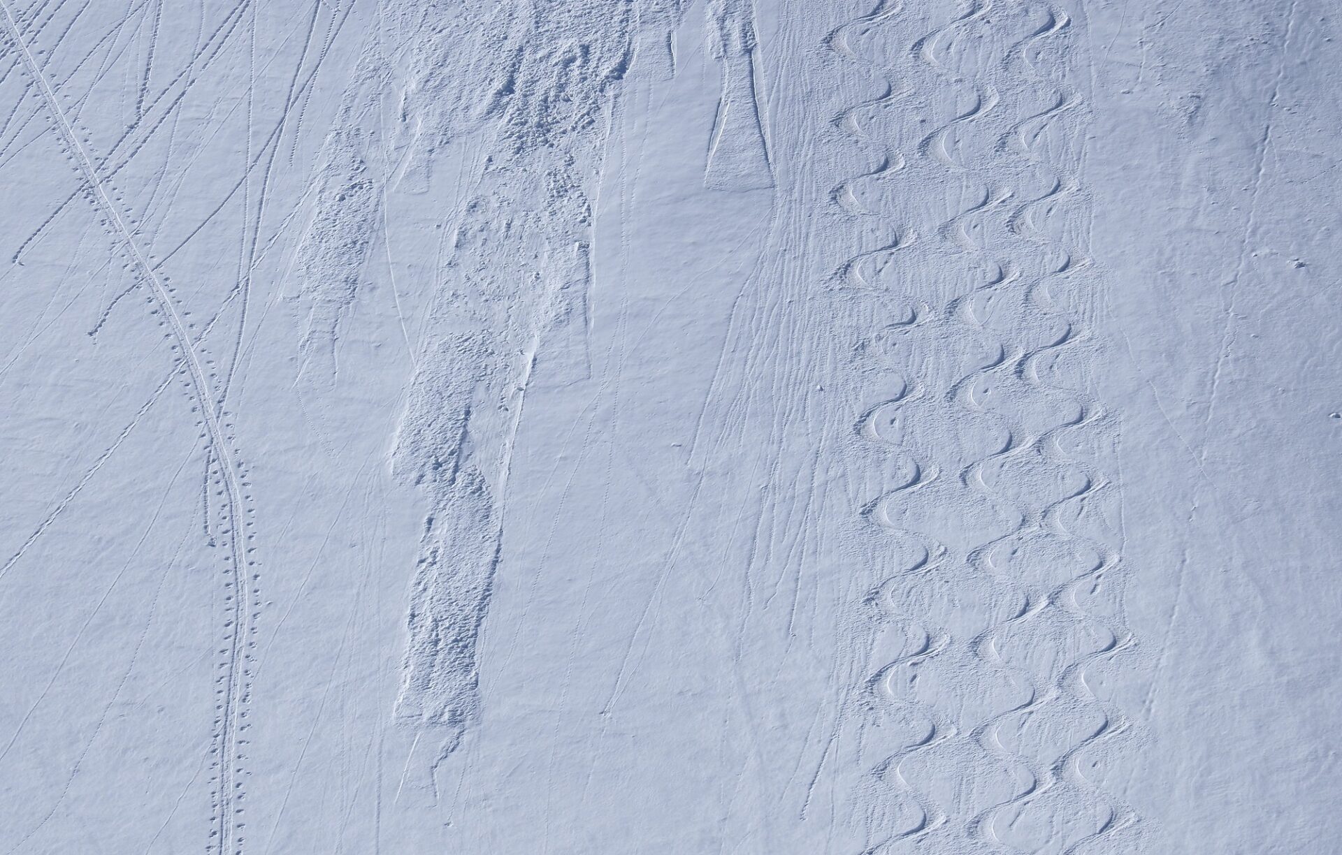 Bie gutem Timing konnten v.a. am Freitag, 12.04. und Samstag,13.04. auf den Bergen teils sehr gute Bedingungen angetroffen werden (Foto: 13.04.2024, ©LWD Tirol).