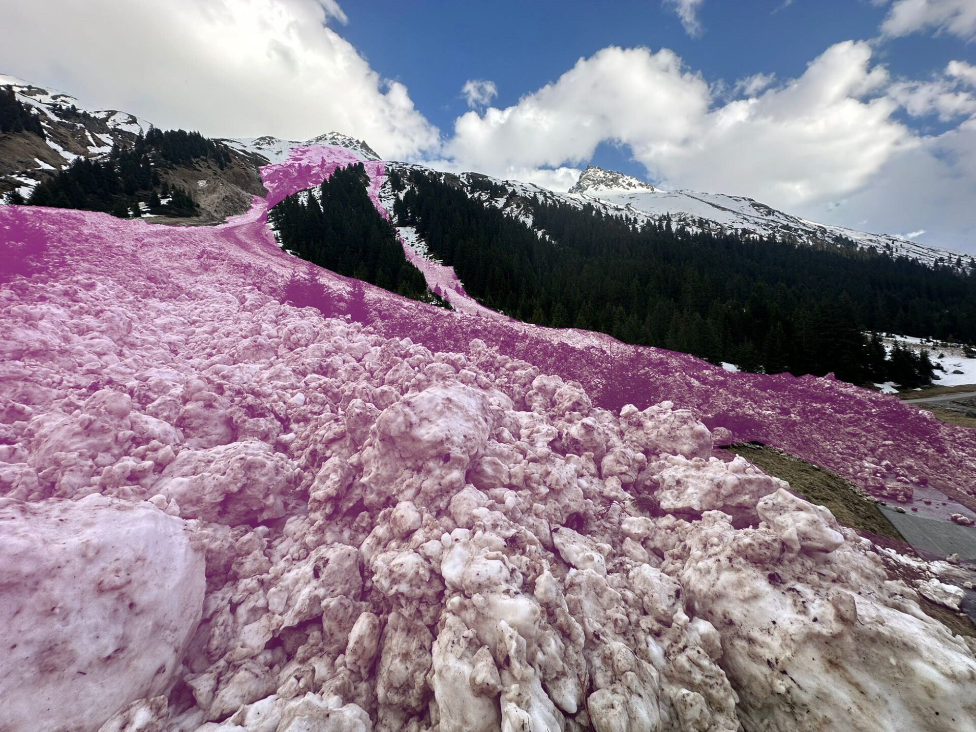 Als ein besonders lawinenaktiver Tag zeigte sich der Montag, 15.04. Es regnete bis auf rund 2800m, gleichzeitig war die Luft sehr feucht und der Wärmeeintrag in die Schneedecke hoch. Im Bild eine große bis sehr große, spontane nasse Schneebrettlawine im Jamtal, angebrochen an einem Nordwesthang auf rund 2500m (Foto: 15.04.2024, ©Otmar Hauser).