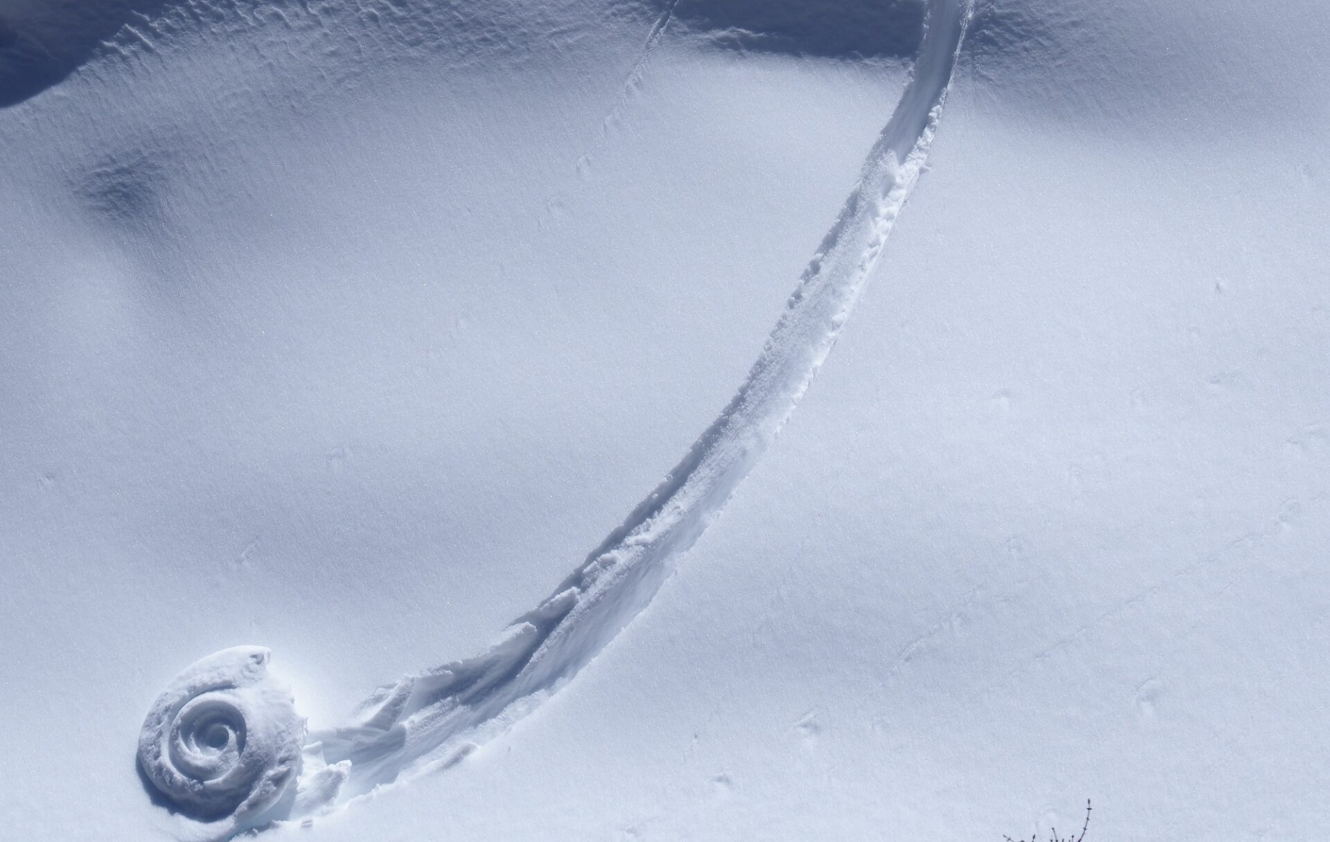 Abschließend noch ein Schnappschuss einer Schneerolle. Diese sind vor allem dann zu sehen, wenn lockerer Pulverschnee erstmalig feucht und pappig wird (©LWD Tirol, 27.04.2024).