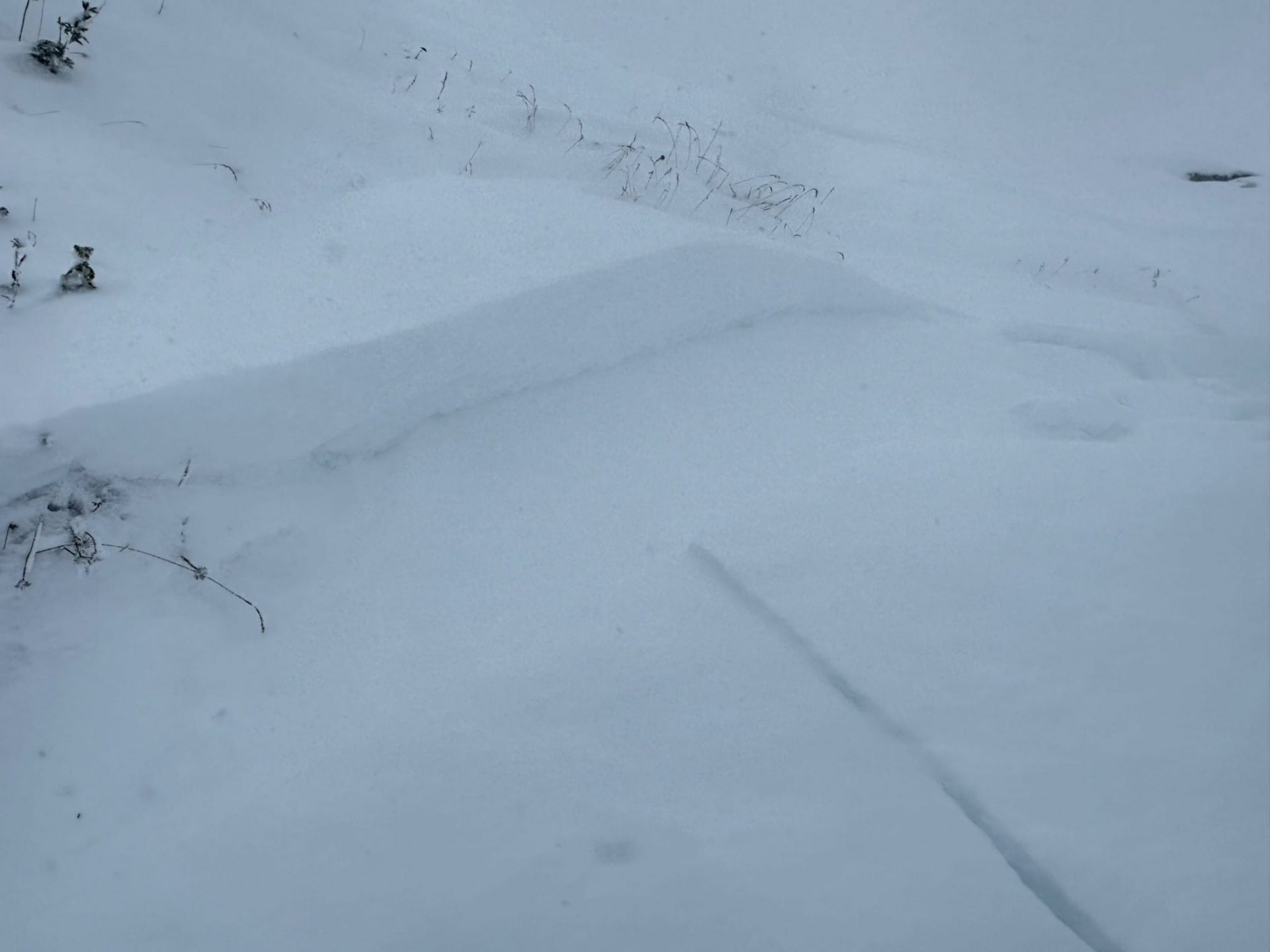 Kleine, durch Personen ausgelöste Triebschneelinse im Bereich der Warnsdorfer Hütte im Krimmler Achental. Besonders die frisch gebildeten Triebschneepakete zeigen sich auf dem kalten, lockeren Neuschnee störanfällig (©Stefan Zangerl, 13.09.2024).