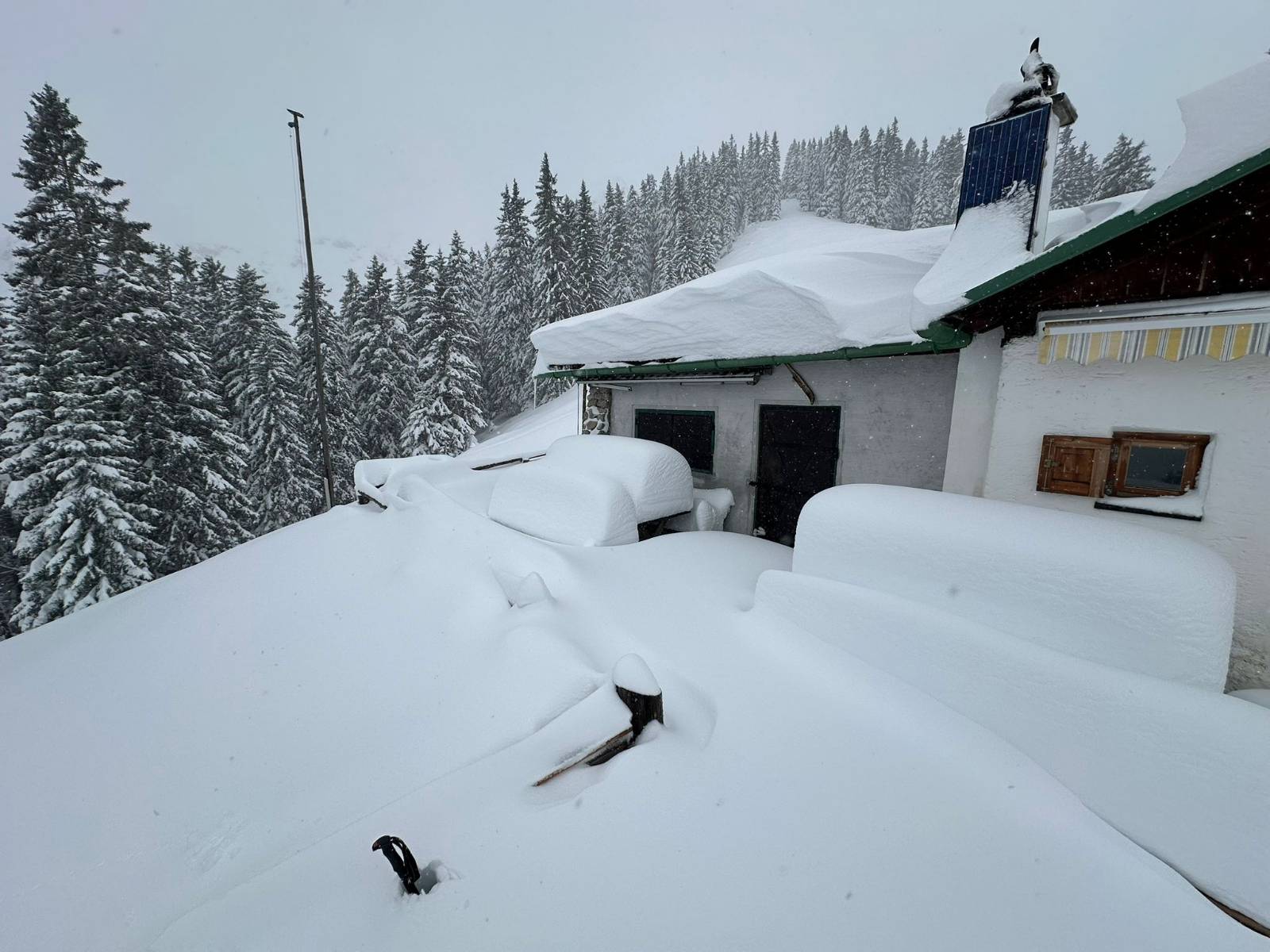 Viel Neuschnee auch auf der Solnalm (1650m) in der Region Westliches Karwendel: 70cm gesetzter Schnee (©LWD Tirol, 14.09.2024).