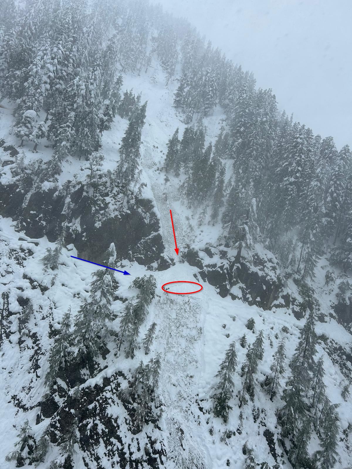 Lawinenabgang Binsalm. Flugaufnahme der Alpinpolizei: Roter Pfeil: Lawinenabgang. Rote Ellipse: Erfassungsbereich. Blauer Pfeil: Abstieg-Wegverlauf