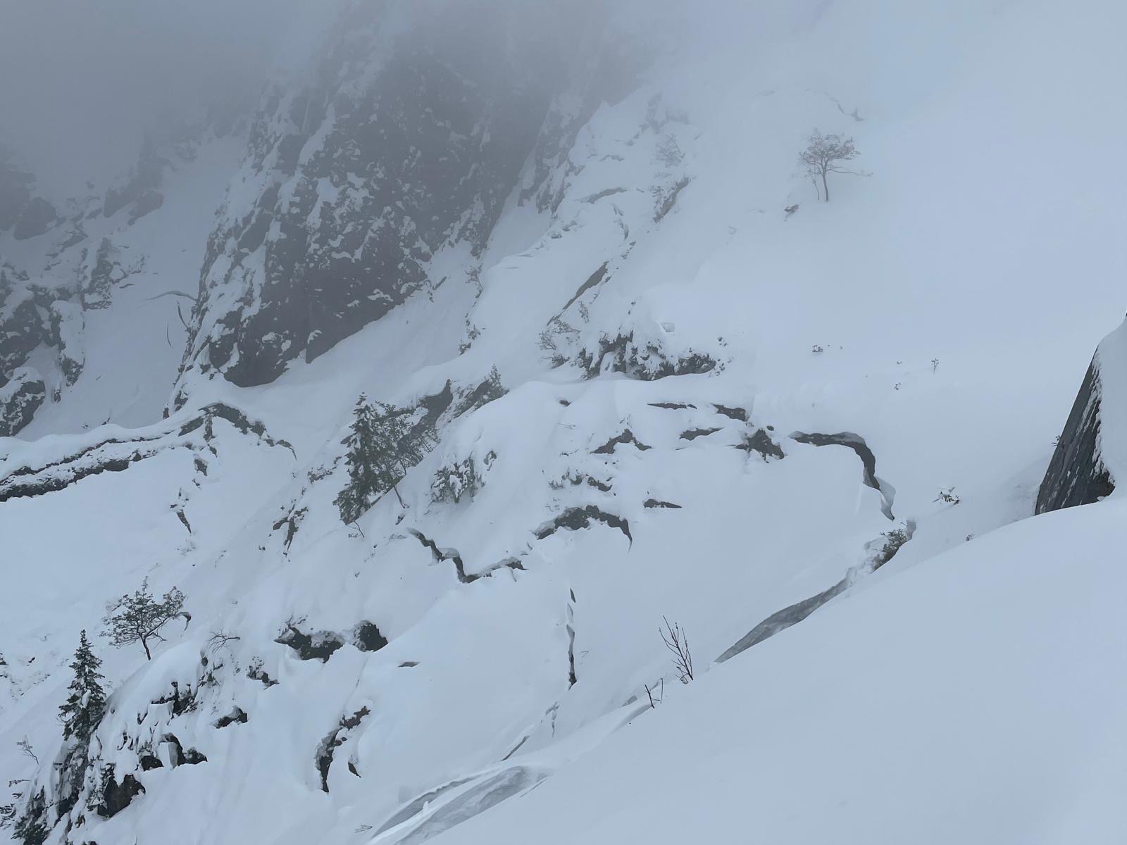 Eindrückliche Gleitschneerisse im Bereich Stripsenjoch im Kaisergebirge. Entsprechend der Neuschneemengen kann hier eine Anrissmächtigkeit von 70- 100cm angenommen werden (©Thomas Müllauer, 15.09.2024).