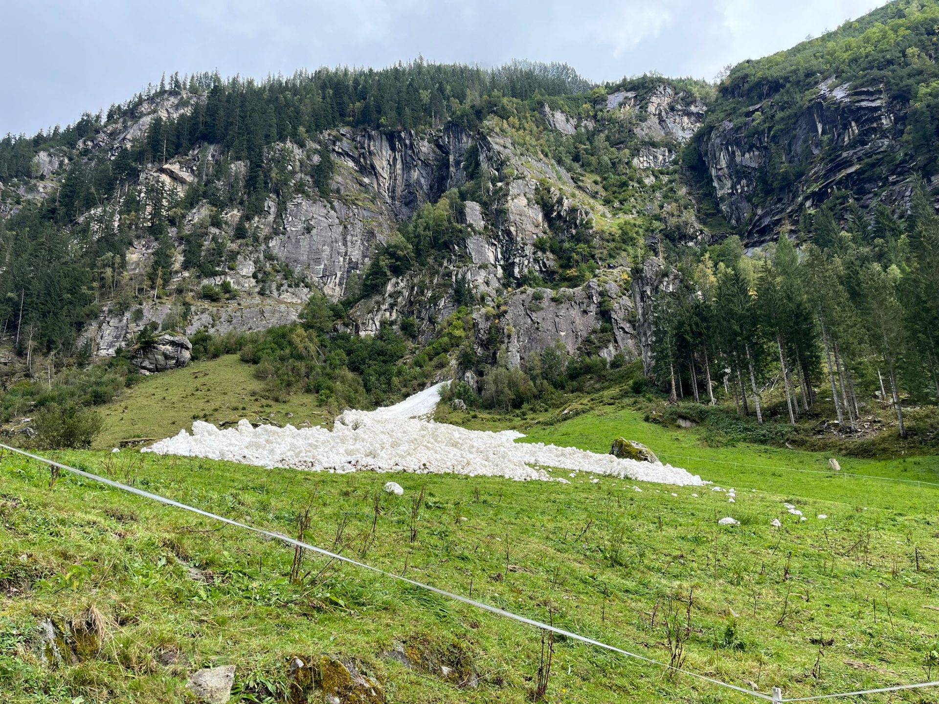 Vereinzelt können spontane Gleitschneelawinen in steilen Runsen auch bis ins Grüne vorstoßen. Auf Wanderungen sollte bereits in der Tourenplanung diese mögliche Gefährdung mitbedacht werden. Im Bild eine Lawinenablagerung am Zillergrund (©Simon Stock, 15.09.2024).