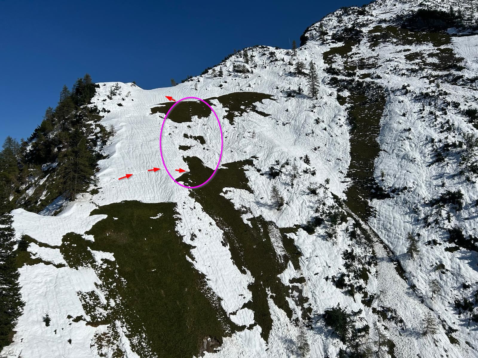 Während des Lawinenabgangs befanden sich mehrere Personen im Aufstieg, teilweise bereits oberhalb des Lawinenanrisses, teilweise noch im Lawinenanrissgebiet. Am Bild eingezeichnet ist die Aufstiegsspur (Pfeile) sowie der Bereich der Gleitschneelawine. Am Bild ist eine allgemein hohe Gleitschneeaktivität ersichtlich. (© Alpinpolizei, 18.09.2024)