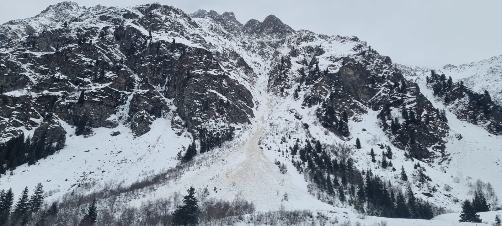 Anrissgebiet der Marchlehn-Lawine. Die gesamte Schneedecke glitt auf einem sehr steilen Grashang als Gleitschneelawine ab. (Foto: 26.01.2024) © Alpinpolizei.