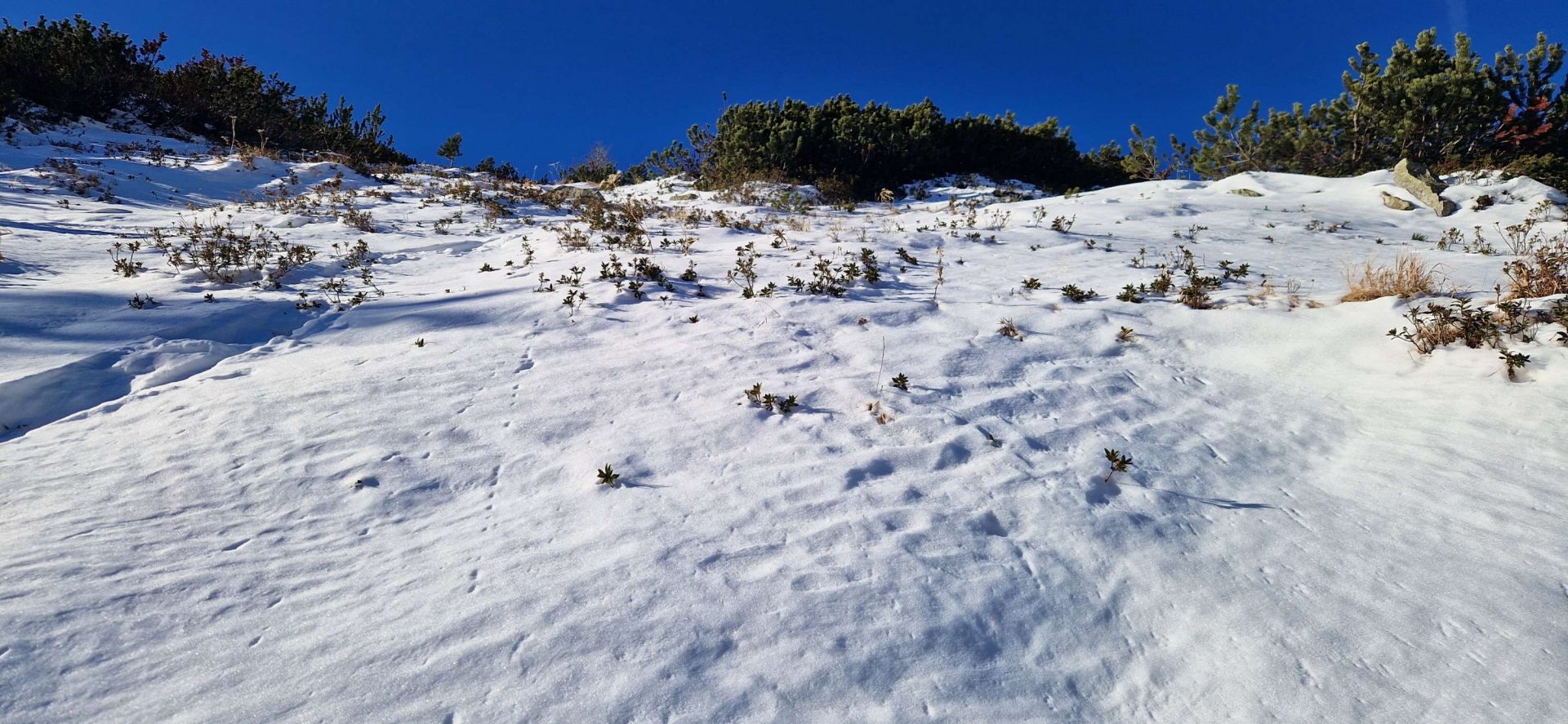 Typisch für mittlere und hohe Lagen: Eine geringmächtige, großteils aufbauend umgewandelte Schneedecke. Zillertaler Alpen (© Christian Eder)