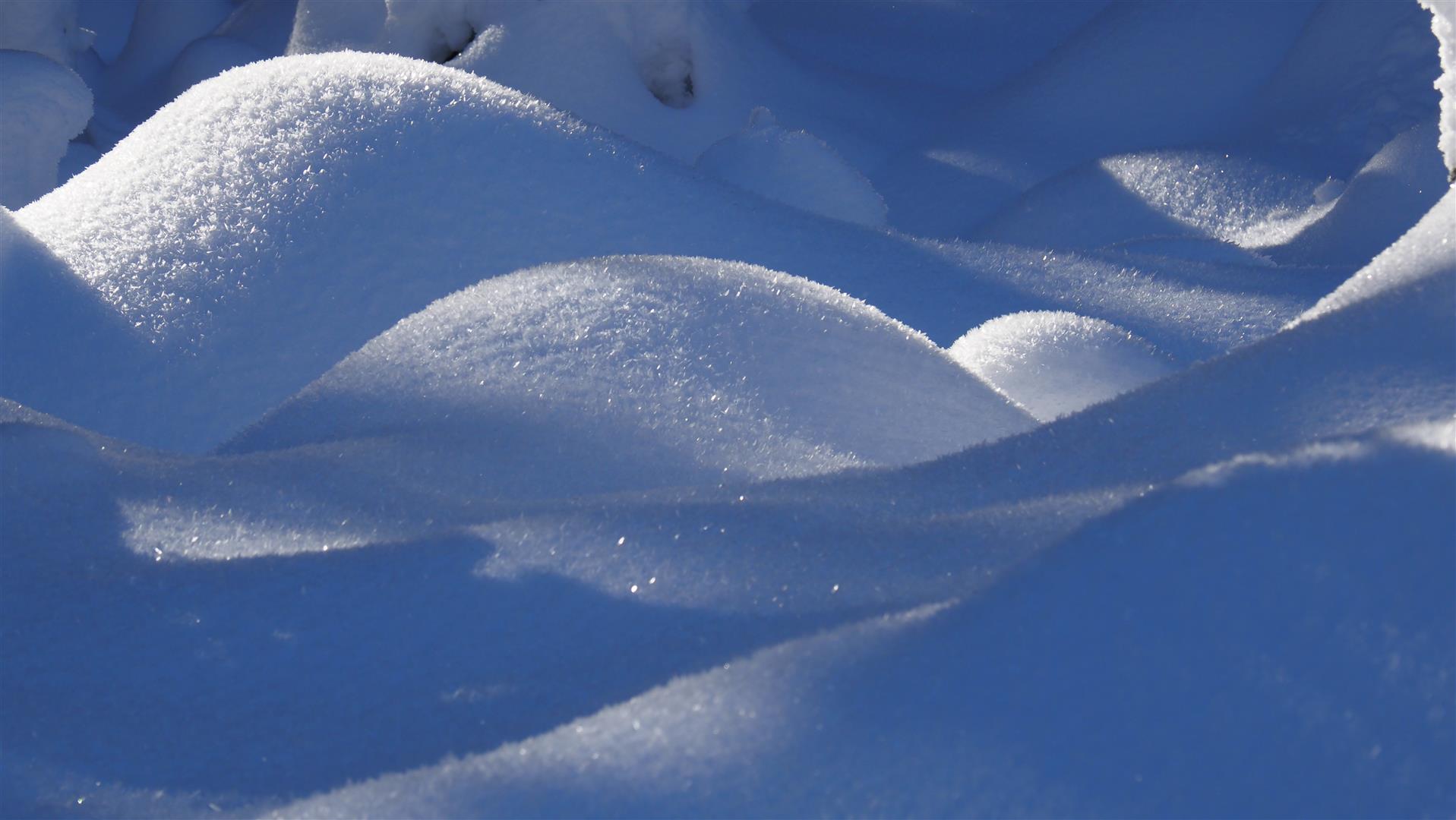 Oberflächenreif auf 1100m im Mieminger Gebirge (© LWD Tirol, 26.12.2024)