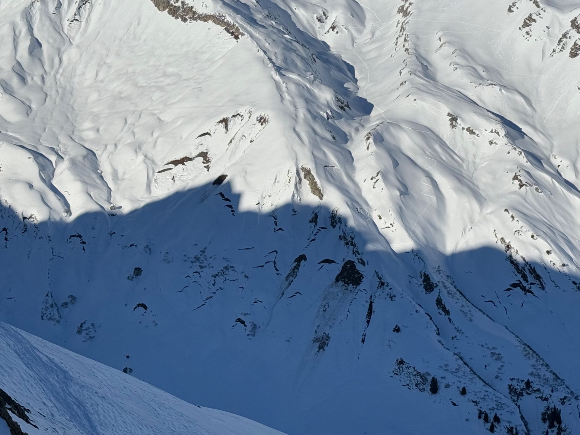 Gleitschneelawinen in den Lechtaler Alpen (© Marvin Kärle, 29.12.2024)